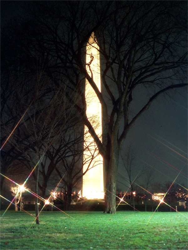 wdc washingtom monument 1985 starlite tree.jpg